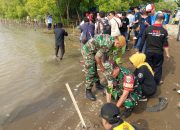 Cegah Erosi Pantai,  Danramil 1403 / Lemahwungkuk dan Babinsa Ikut Tanam 10.000 Mangrove