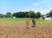 Sukseskan Program Hanpangan, Babinsa Kesenden Lakukan Pendampingan Warga Tanam Kacang Hijau