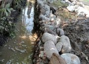 Drainase Desa Dukuhlo Bulakamba Ditemukan Memakai Batu Blonos