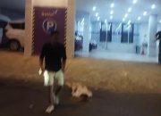 Tamu Hotel Asia Link Lompat Dari Jendela Dan Meninggal Di Lokasi