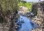 Musim Kemarau, Sungai Irigasi Desa Suci Hanya Tersisa Limbah Pabrik Soun Surya