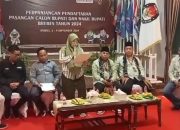 Pendaftaran Cabub Dan Cawabub Resmi Ditutup, Berikut Penjelasannya