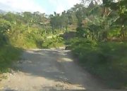Jalan Desa Cawet Kelurahan Telagasana Pemalang Rusak Parah Sangat Memprihatinkan