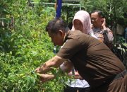 KWT Penthol Kelurahan Kejambon, Terpilih Sebagai Gugus Tugas Ketahanan Pangan