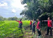 Lapas Tebing Tinggi Dukung Program Ketahanan Pangan, Optimalkan Pemanfaatan Lahan