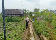 Bhabinkamtibmas Sosialisasikan Pekarangan Pangan Bergizi dan Imbau Kamtibmas di desa Kawunghilir
