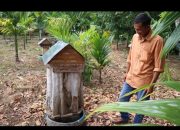 Tingkatkan Kesejahteraan Masyarakat, Bukit Asam (PTBA) Gelar Pelatihan Pengolahan Madu hingga Penanganan Hama