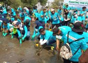Penanaman Pohon Mangrove di Pantai Kesunean Kota Cirebon, Babinsa: Lestarikan Ekosistem Pesisir