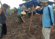 Penanaman Jagung Serentak dan Vicon Bersama Kapolri di Lahan Pertanian YPGB Desa Tanjung Anom