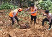 Tim K-9 Polda Jateng Berhasil Temukan Jenazah Bayi yang Tertimbun Tanah Longsor di Pekalongan
