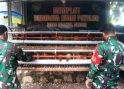 Upaya Meningkatkan Ketahanan Pangan dan Kesejahteraan dengan Budidaya Ayam Petelur
