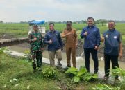 Babinsa Dampingi PPL Pemdes dengan PLN Cabang Cirebon di Desa Slangit