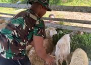 Membangun Ekonomi Rakyat Berbasis Ketahanan Pangan : Yonif TP 852/ABY Bangun Kompi Peternakan & Pertanian