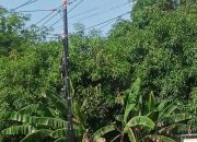 Waduh! Proyek WiFi di Desa Astapada Diduga Setor Puluhan Juta ke Pemerintah Desa