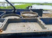 Warga Desa Kalisapu Menolak Adanya Kegiatan Pengolahan Pakan Ternak 