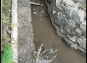 Pembangunan Drainase Di Desa Adisana Bumiayu Di Duga Mengurangi Volume Dan Tanpa Adanya Pondasi