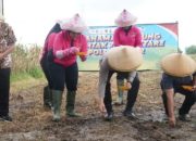 Polres Cirebon Kota Siapkan 11 Hektar Lahan Jagung Dukung Ketahanan Pangan Nasional