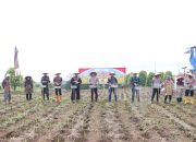 Polres Kuningan Tanam Jagung Serentak di 27 Lokasi Capai 22 Ha