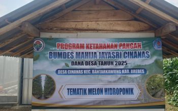 Ketua BUMDES Mahija Desa Cinanas Bantarkawung Di Duga Gelapkan Anggaran Untuk Memperkaya Dirinya