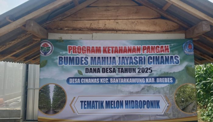 Ketua BUMDES Mahija Desa Cinanas Bantarkawung Di Duga Gelapkan Anggaran Untuk Memperkaya Dirinya