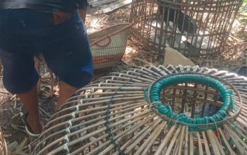 Judi Sabung Ayam Diduga Marak Diwilayah Hukum Polres Selawi Dugaan Keterlibatan Oknum Aparat Picu Sorotan Publik