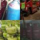 Didapati Lokasi Pangkalan Gas Elpiji/ LPG Yang Diduga Melakukan Pengoplosan Dari Gas Subsidi 3 Kilogram ke Tabung Bright Non Subsidi 12 Kilogram