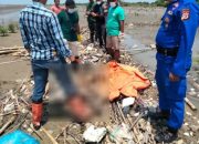 Penemuan Mayat Laki -Laki di Bibir Laut Muara, Respon Cepat Polisi Lakukan Evakuasi dan Identitas