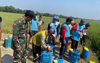 Babinsa Monitoring sosialisasi bersama para petani Desa