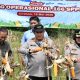 Sinergi Wujudkan Ketahanan Pangan, Polresta Cirebon Ikuti Panen Raya Jagung Serentak Bersama Presiden RI dan Kapolri
