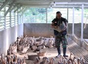 Bangun Ekonomi Lokal Berkelanjutan, PTBA Tingkatkan Kompetensi Kelompok Budidaya Itik Petelur