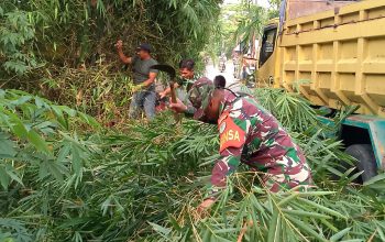 Babinsa Desa Panongan Bersama Pemdes dan Warga Laksanakan Kerja Bakti Pembersihan Lingkungan