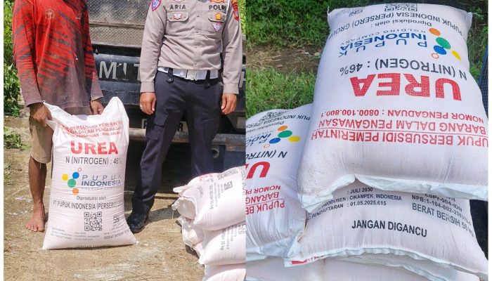 Dukung Ketahanan Pangan Sat Polres Kuningan Berikan Bantuan Pupuk bagi Petani Desa Cibulan