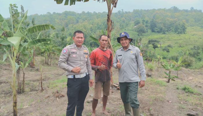 Sinergi Satlantas Polres Kuningan dan Dinas Pertanian Pantau Pertumbuhan Jagung di Desa Cibulan