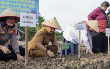 Perkuat Ketahanan Pangan Untuk Stabilitas Harga dan Tekan Laju Inflasi dengan Gerakan Menanam Bawang Merah Serentak di Kelurahan Mekar Sentosa
