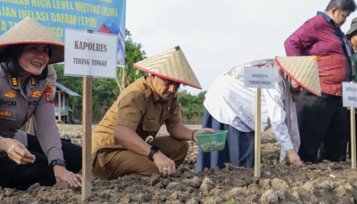 Perkuat Ketahanan Pangan Untuk Stabilitas Harga dan Tekan Laju Inflasi dengan Gerakan Menanam Bawang Merah Serentak di Kelurahan Mekar Sentosa