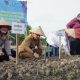 Perkuat Ketahanan Pangan Untuk Stabilitas Harga dan Tekan Laju Inflasi dengan Gerakan Menanam Bawang Merah Serentak di Kelurahan Mekar Sentosa