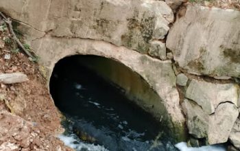ARM Kepri Desak Pemkot Batam Bertindak, Dugaan Limbah Hitam Berbusa di Sungai Beduk Dinilai Ancaman Serius