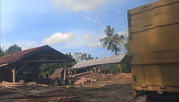 Saw Mill di Tanah Rata Peureulak Diduga Tetap Beroperasi Pascabanjir, Warga Minta Legalitas Kayu Ditertibkan