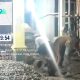 Pengecoran Malam Hari di Proyek Revitalisasi SDN 1 Kebon Melati Kota Cirebon Jadi Sorotan, Papan Informasi Dipertanyakan