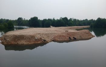 Penimbunan Laut Dan Pengrusakkan Mangrove Di Putri Hijau Sangat Parah,Aparat Diminta Bertindak