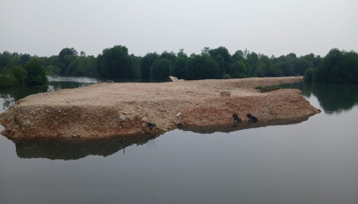 Penimbunan Laut Dan Pengrusakkan Mangrove Di Putri Hijau Sangat Parah,Aparat Diminta Bertindak